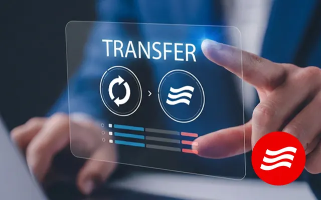 Ile kosztuje transfer domeny w 2026 roku?