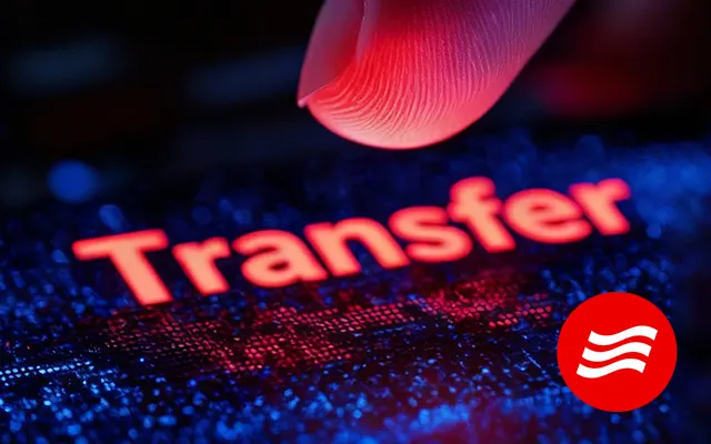 Transfer domeny do netwave.pl